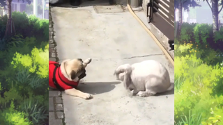 สัตว์ตลก_cut 45