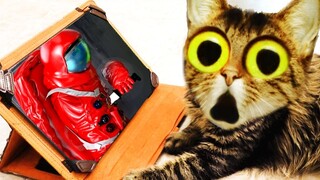 Cat reaction to scary moments & Funny moments Compilation.