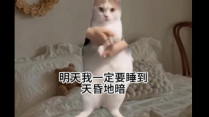 Đồng hồ sinh học kỳ lạ của tôi