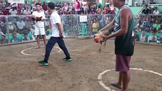 2 HITS FIRST FIGHT - LOSS | APRIL 02, 2023