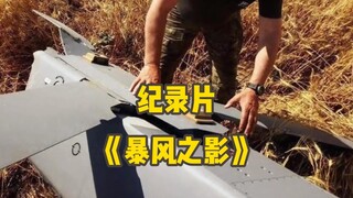 大型纪录片《暴风之影》