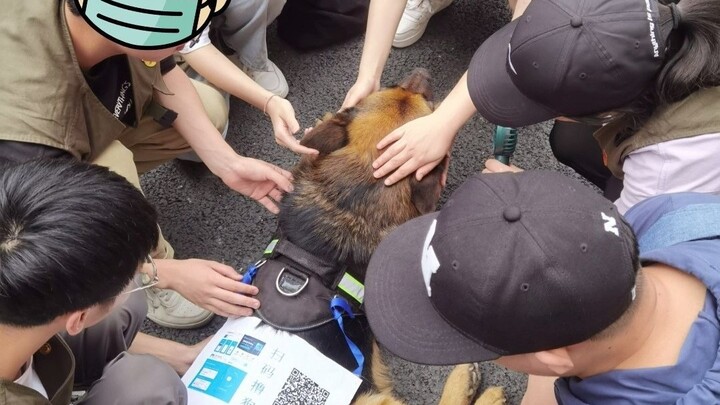 เจ้าเฮยเหยียน สุนัขตำรวจของสำนักงานความมั่นคงสาธารณะกงซู่: ฉันทุ่มเทเพื่อต่อต้านการหลอกลวงมากเกินไปจ