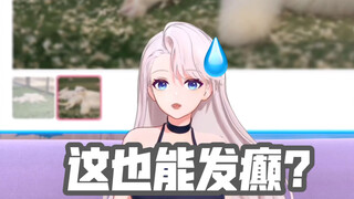 被奶淇琳发癫整不会了的乃宝