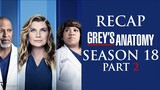 Grey's Anatomy | Season 18 Part 2 Recap
