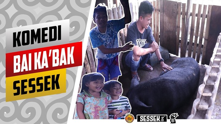 KOMEDI SESSEK BAI KA' BAK ( babi  sangean ) | | Markomi Fransisco Patandung