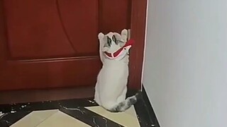 mamaaa