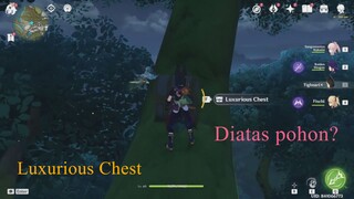 Hidden Location Luxurious Chest in Sumeru city