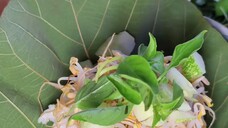 nasi pecel