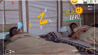 Awakening Wang Luxin pulls off an incredible performance with just a tent, perfectly demonstrating w