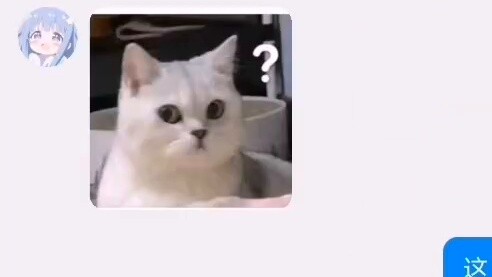 What? My female classmate confessed to me!