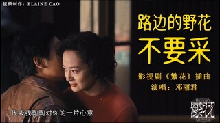 《繁花 Blossoms Shanghai OST》插曲–路边的野花不要采MV 邓丽君  #繁花  #ost  #怀旧金曲 #繁花插曲  #胡歌 #辛芷蕾 #马伊利  #唐嫣  #经典老歌