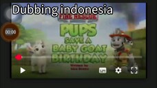 Paw patrol Musim 11 Episode 23 Bahasa indonesia
