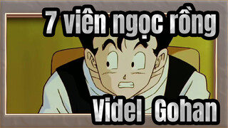 7 viên ngọc rồng
Videl&Gohan