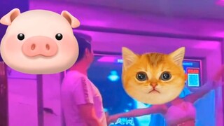 Hôm nay tôi đã bán hết ngô và không có việc gì làm, tôi đang nghe nhạc trong phòng riêng…