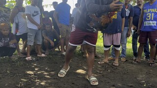 11th fight. Fight for champ ang Tapayan