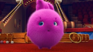 Hoạt hình: Câu chuyện của Sunny Bunnies #1