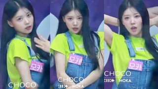 【موكا كايجين موهانا】 كوفير توايس فيل سبيشال + تي دبليو إس أول لقاء بيننا لم يسر وفق الخطة — بث مباشر