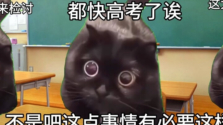 [Cat meme] A high school student ordered takeout and crawled into the office and was almost caught b