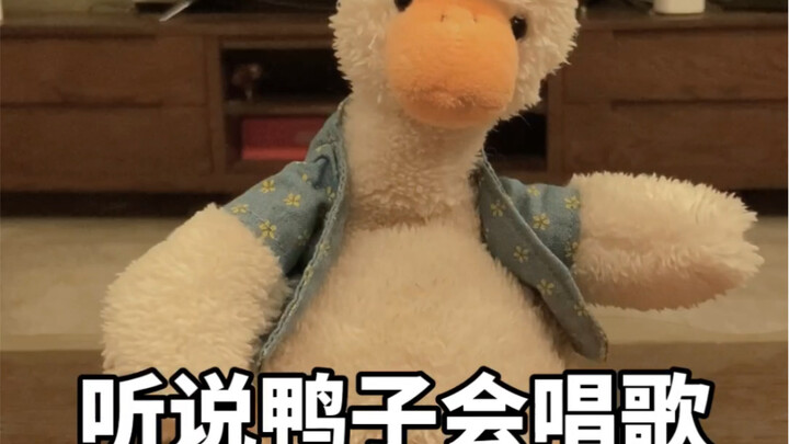 เป็ดร้องเพลงได้? ฉันไม่เชื่อหรอก!