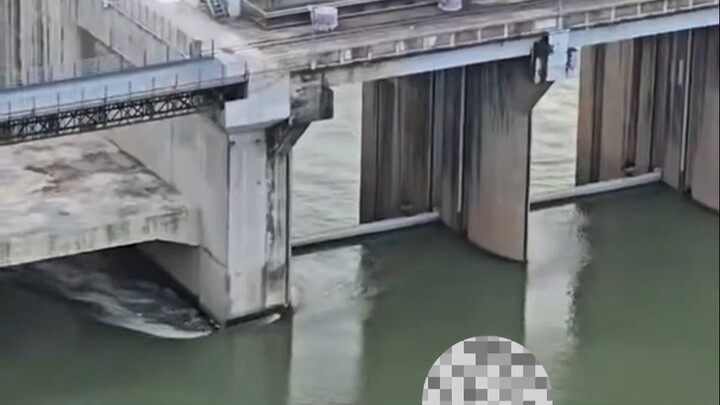 Sister, if I’m not afraid of death, why should I be afraid of living?