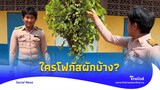 หลุดโฟกัส ‘ครูรีวิวผักบนดอย’ งานนี้ทุกสายตามองอย่างอื่น|Thainews - ไทยนิวส์|Social-16 -PP