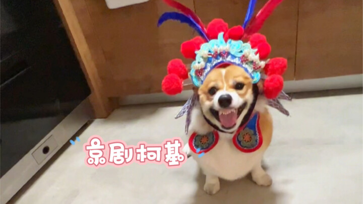 你俩是要把国粹发扬光大啊