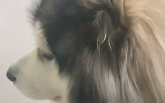 แม่ไม่ให้หนูทานข้าว ลูกน้อยไม่มีความสุข