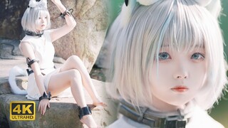 Rangkul kehidupan baru rosemary Arknights 4K丨Hexi