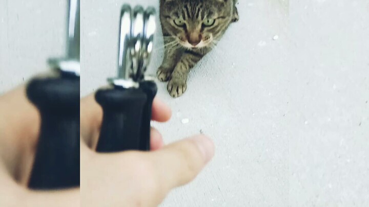 the man who played handgrip in diffrent places