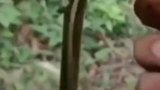 Hãy đến và học cách thắt nút thực tế này!