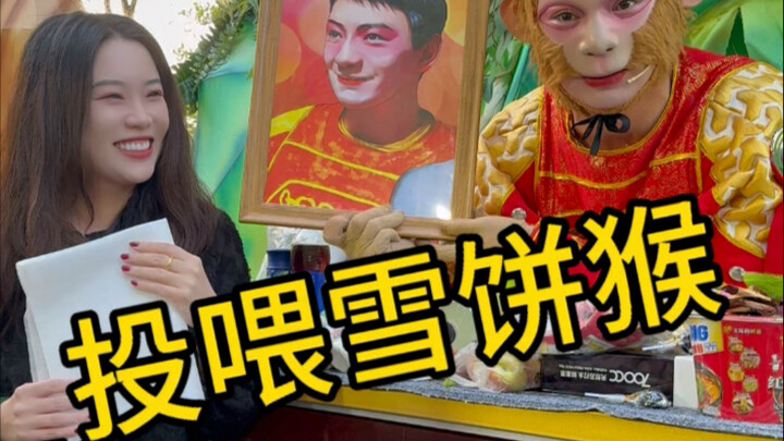 Cho khỉ bánh tuyết ăn