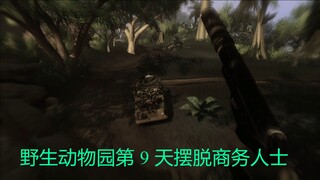 野生动物园第 9 天摆脱商务人士