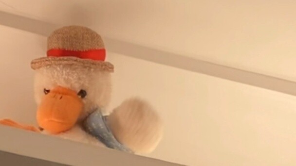 The most positive and enthusiastic duck on the entire Internet!