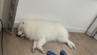 幸好睡觉前把门关好了，不然我还以为隔壁家的牛跑我房间来了！