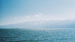 Hạ Nhật Sấu Thạch ✖️ Phim nhựa