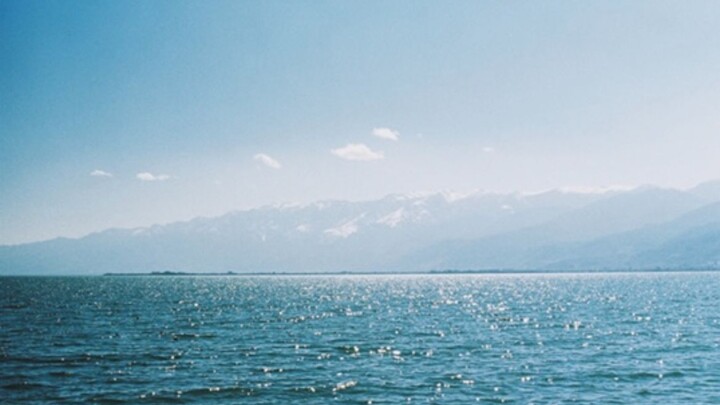 Hạ Nhật Sấu Thạch ✖️ Phim nhựa