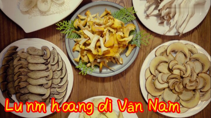 Lẩu nấm hoang dại Vân Nam