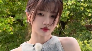 Yu Shuxin responded to the dual-track controversy! She decisively kicked over Yang Bei's big pie, an