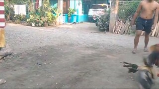 missing you all buddies