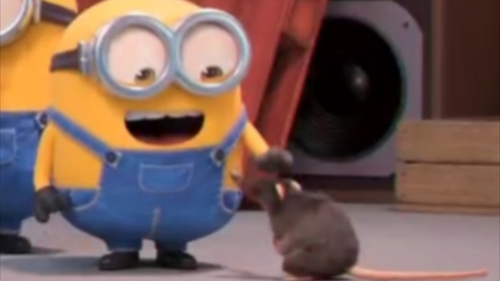 Why is Bob so popular with small animals? Haha