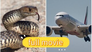 snake in plane full movie 🎥 #movie