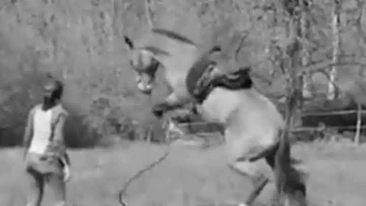 โดด! โดด!