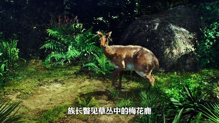 中文电影解说视频
