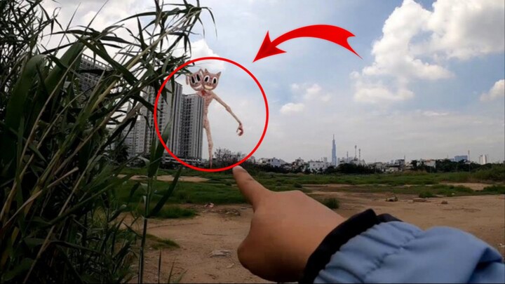 siren head cartoon cat dog xuất hiện trong thành phố|wefi ghost