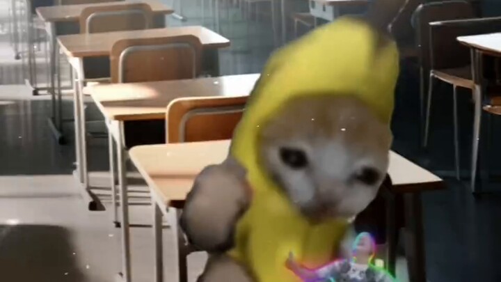 When you eat too much chili in class——[Xiao Miao Science]