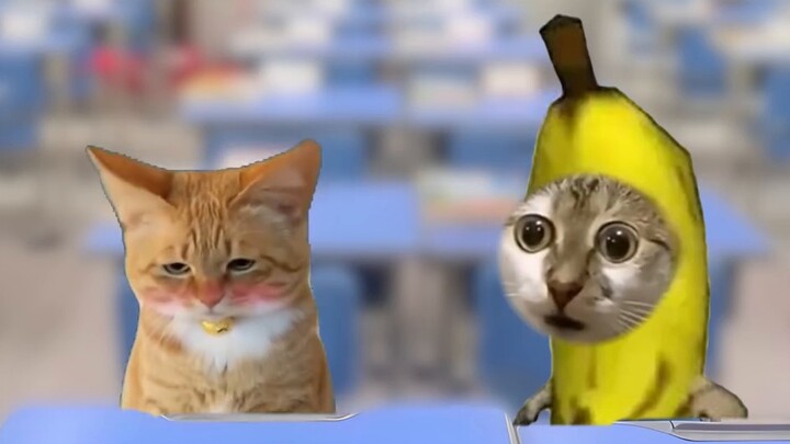 القيام بتلك الأشياء في الفصل عندما كنت صغيراً