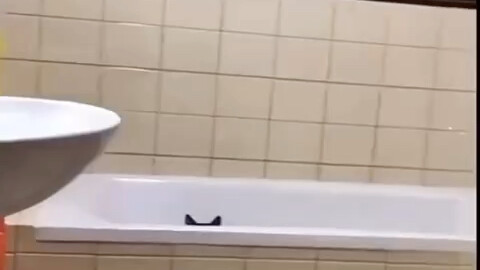 Real-Life Hide-and-Seek