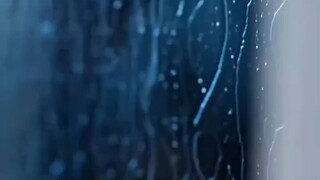 Traded To Love You #Dramabox