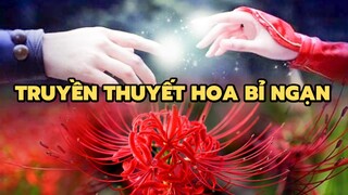 Truyền thuyết Hoa Bỉ Ngạn | Bạn có biết