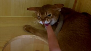 学好不容易，学坏一出溜